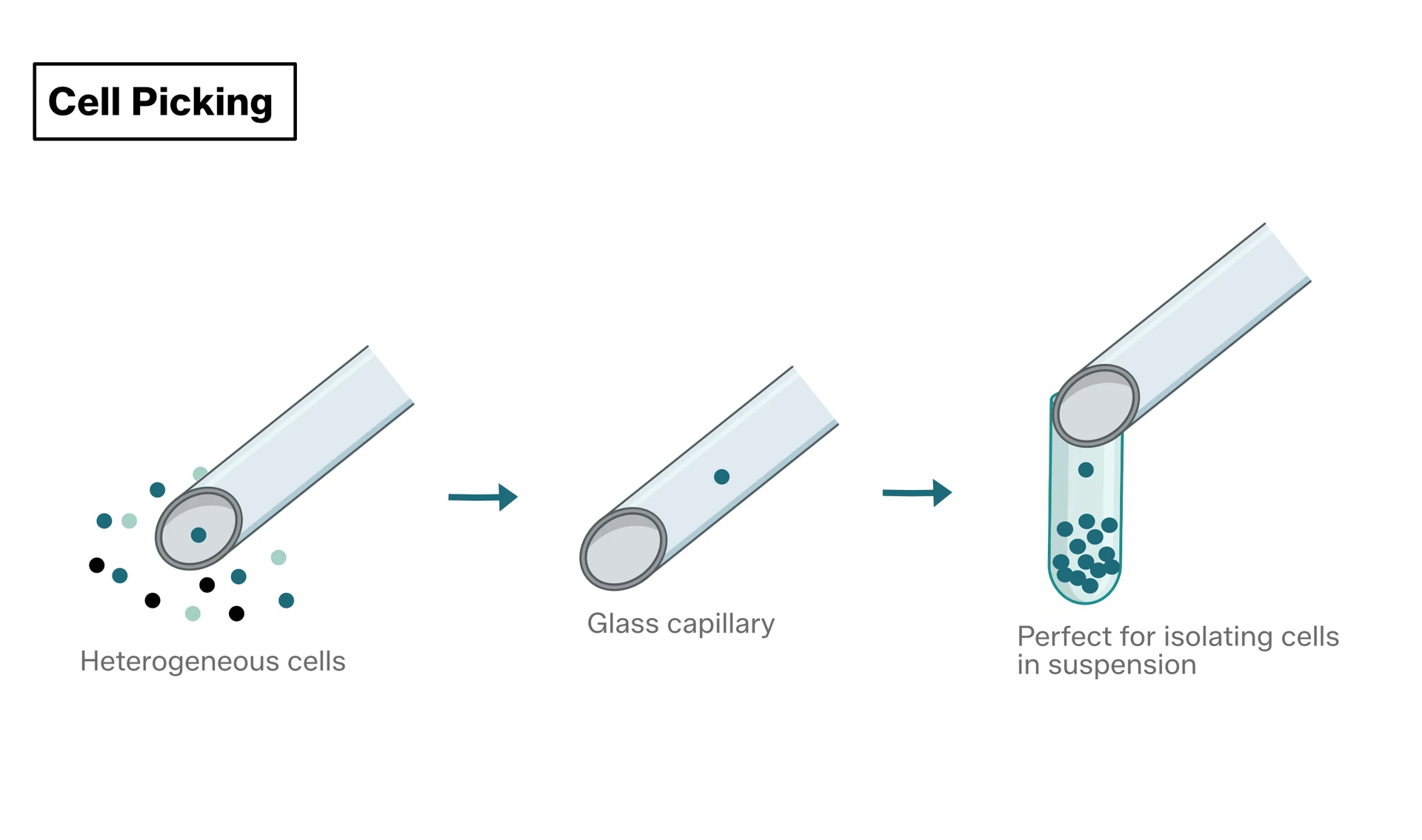 Cell Picking