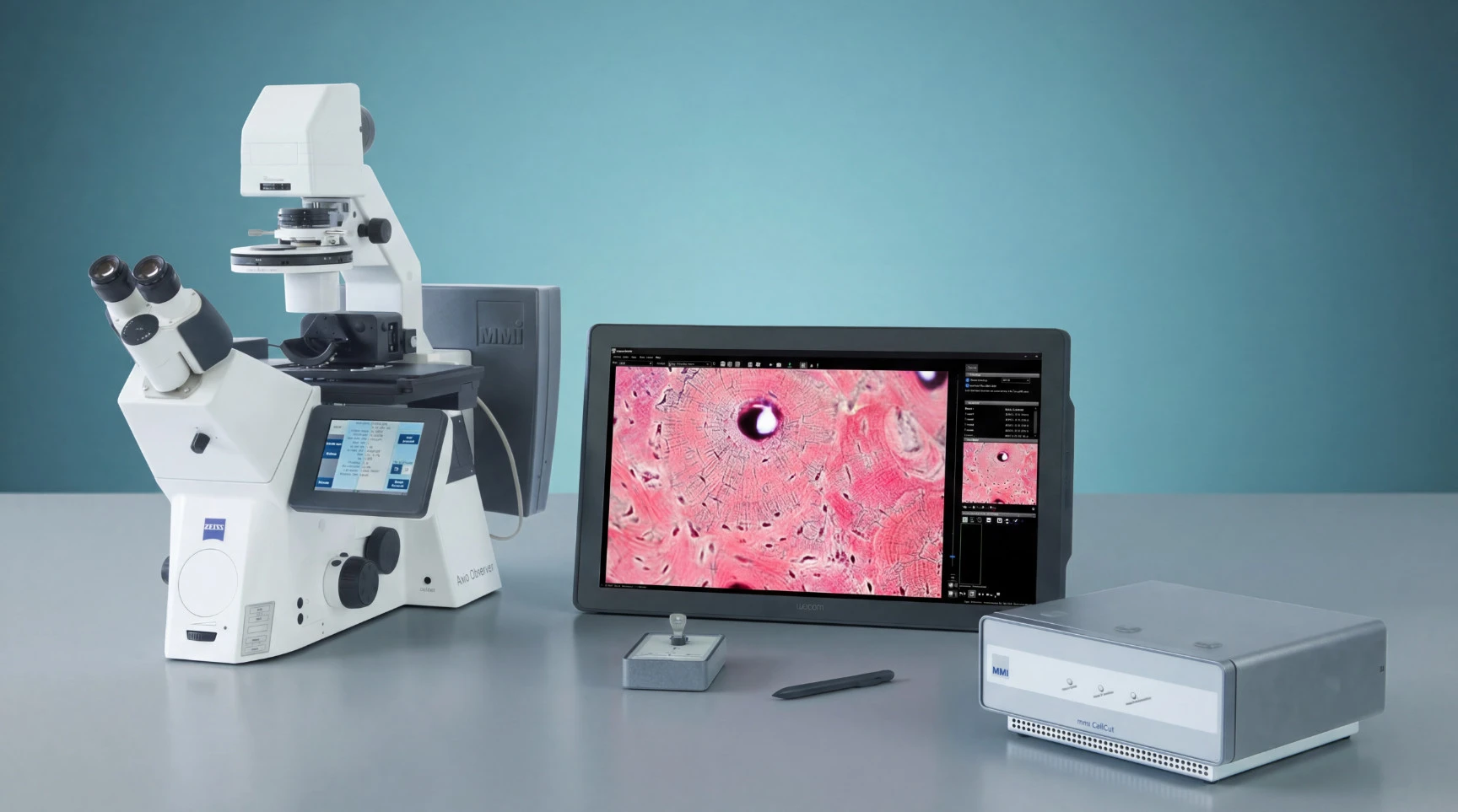 interactive-image-hotspots-cellcut-with-the-zeiss-axio-observer