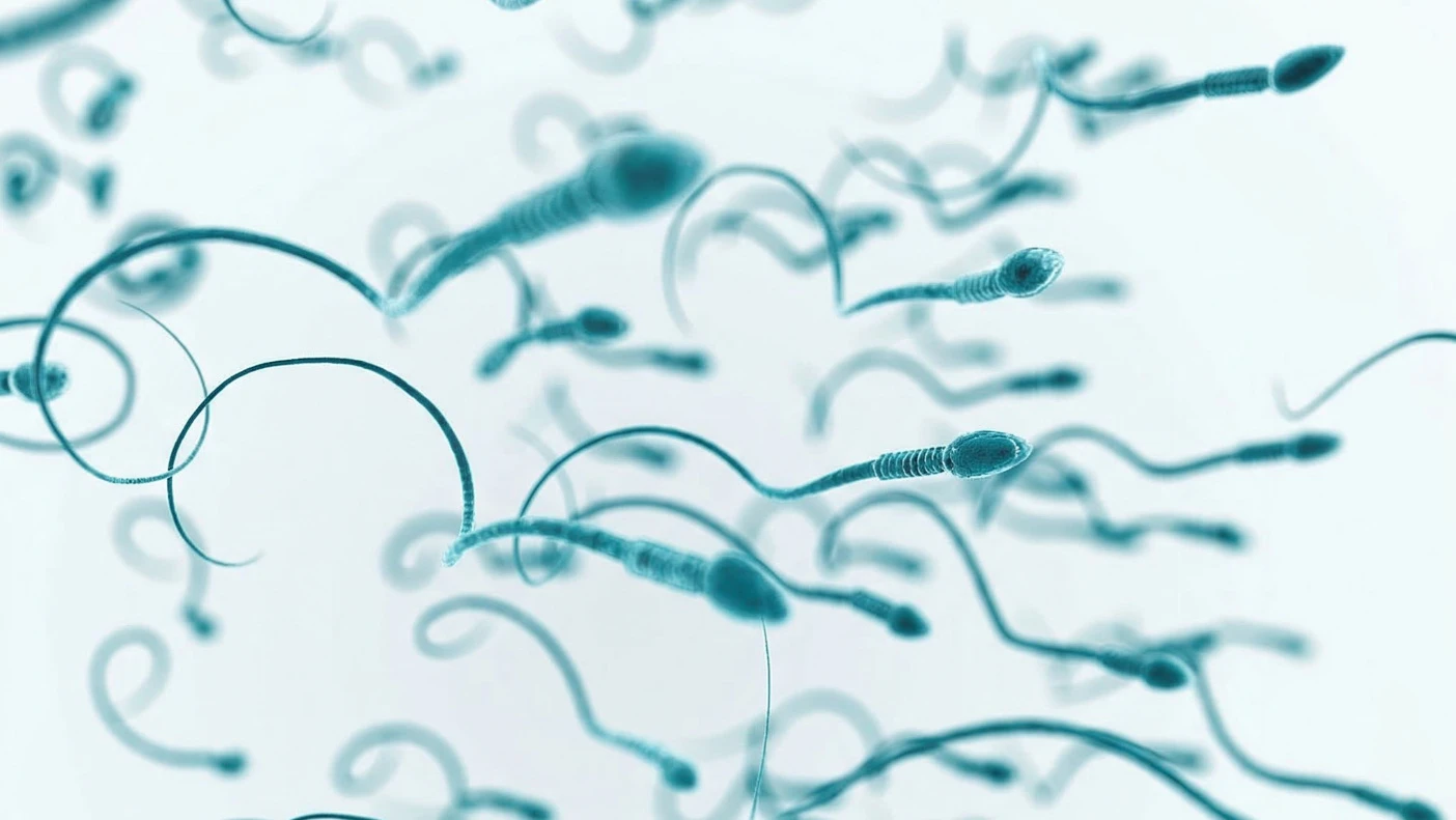 isolation-of-sperm-cells-1).mp4