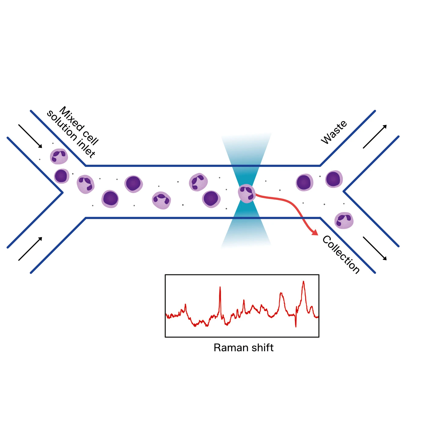 Isolation and manipulation of rare cells
