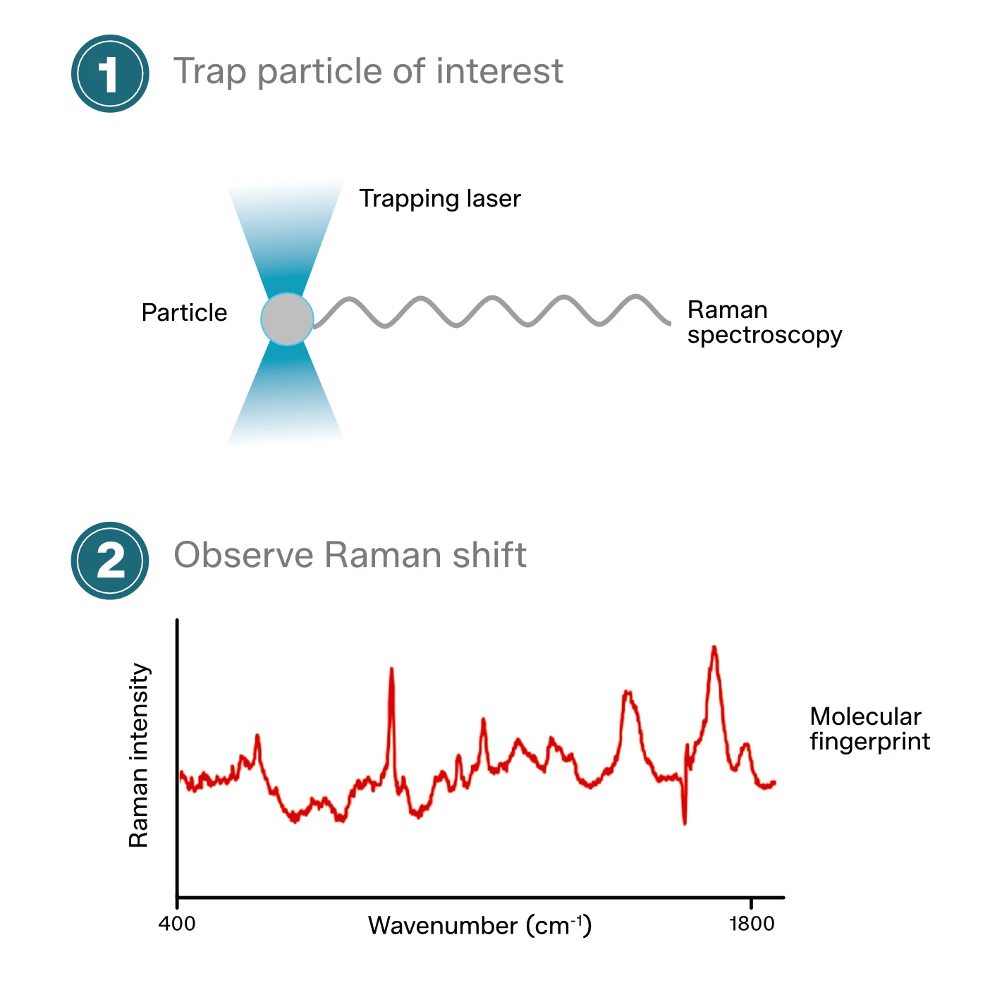 Laser Tweezers Raman Spectroscopy