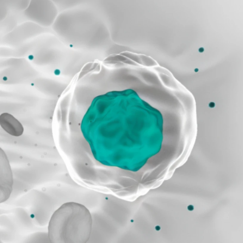 Single Cell Isolation