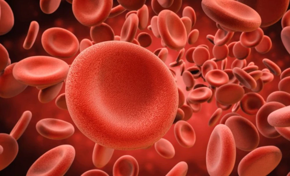CellManipulator Optical Tweezers method was used to study erythrocyte's response to antimalarial treatments