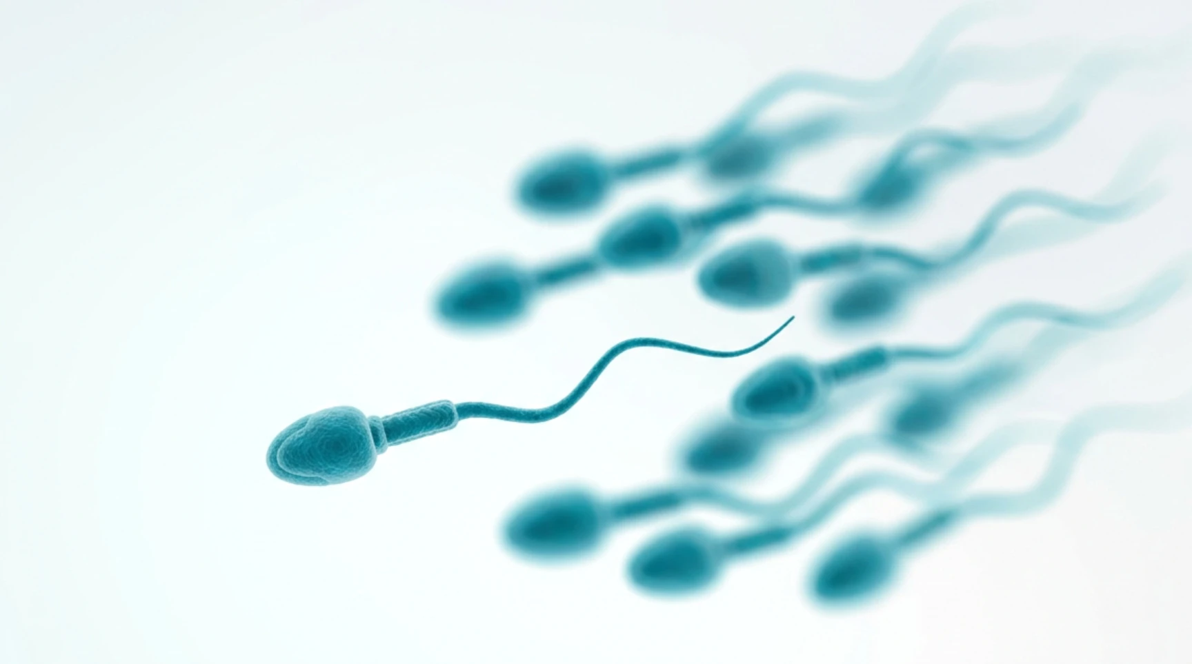 isolation-of-sperm-cells.mp4