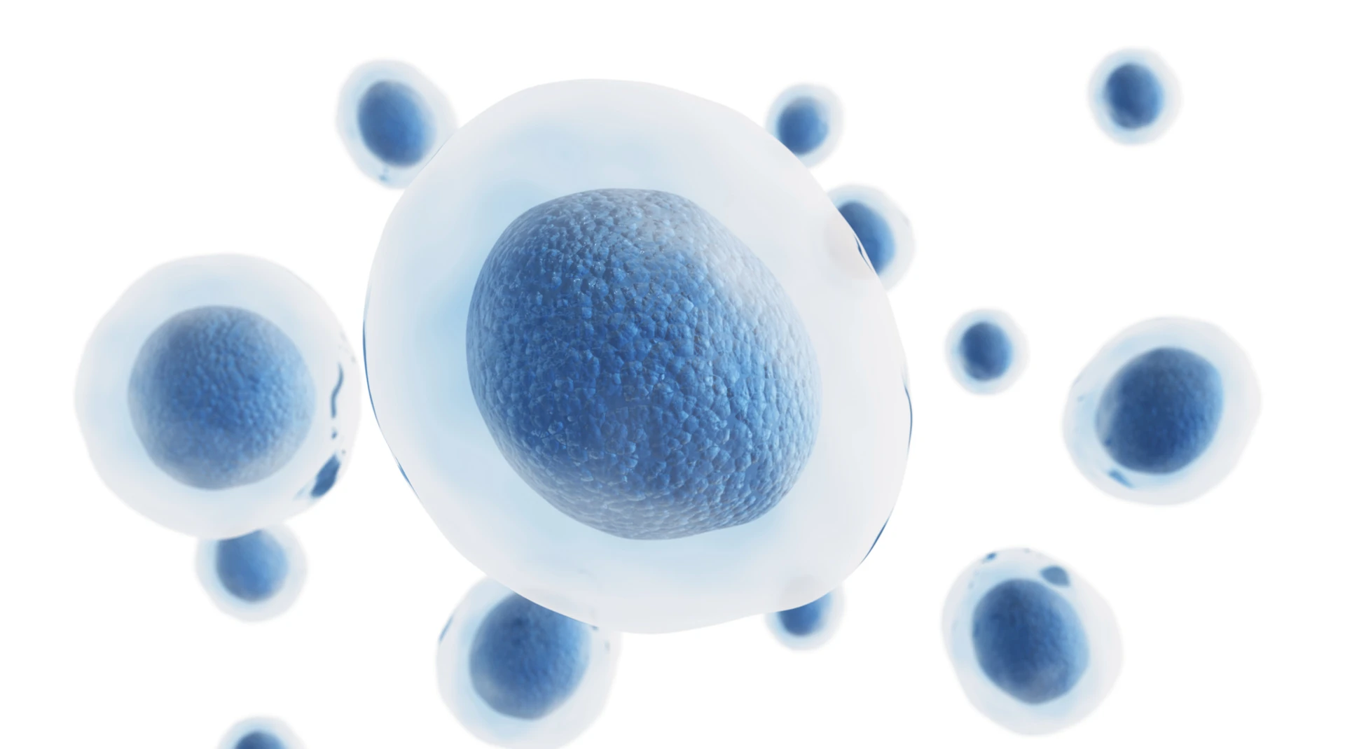 [Webinar] What the Cell is Going on