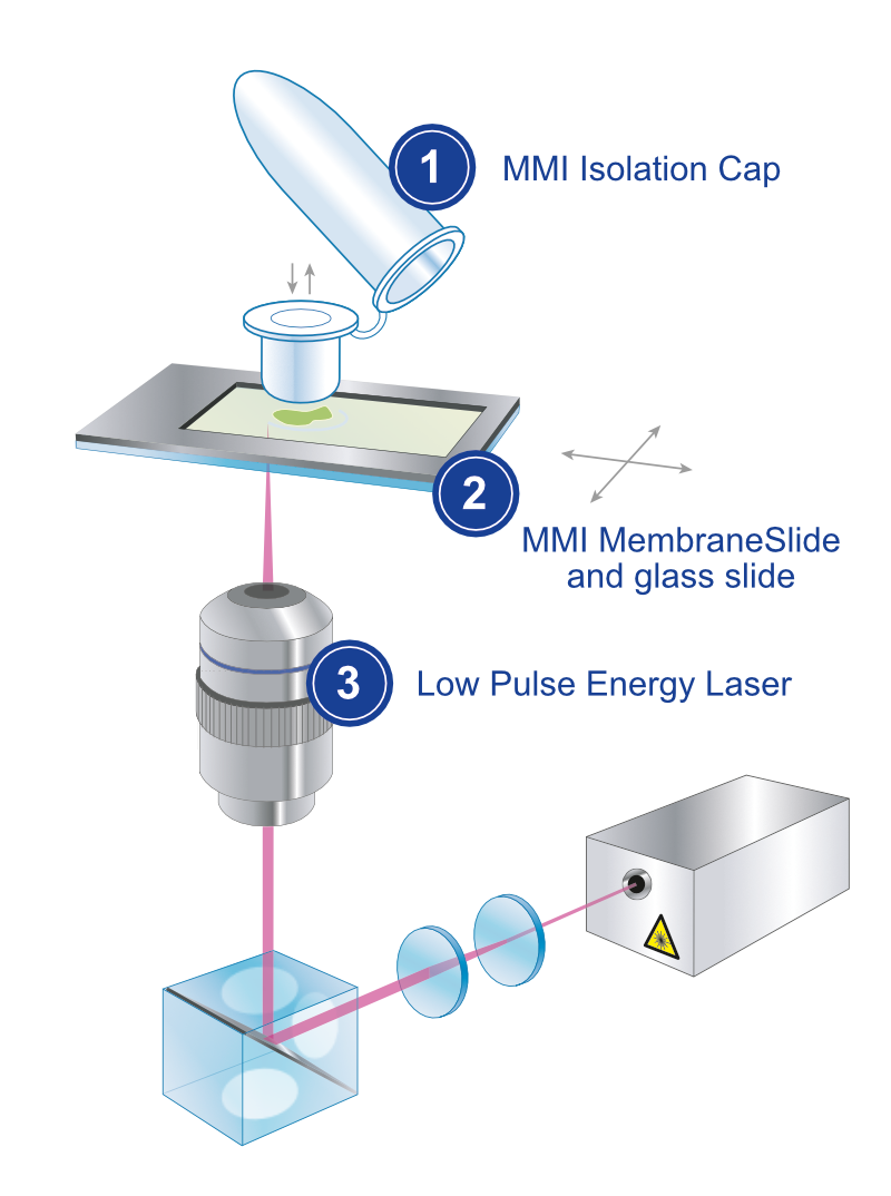 Principle of the MMI laser microdissection system