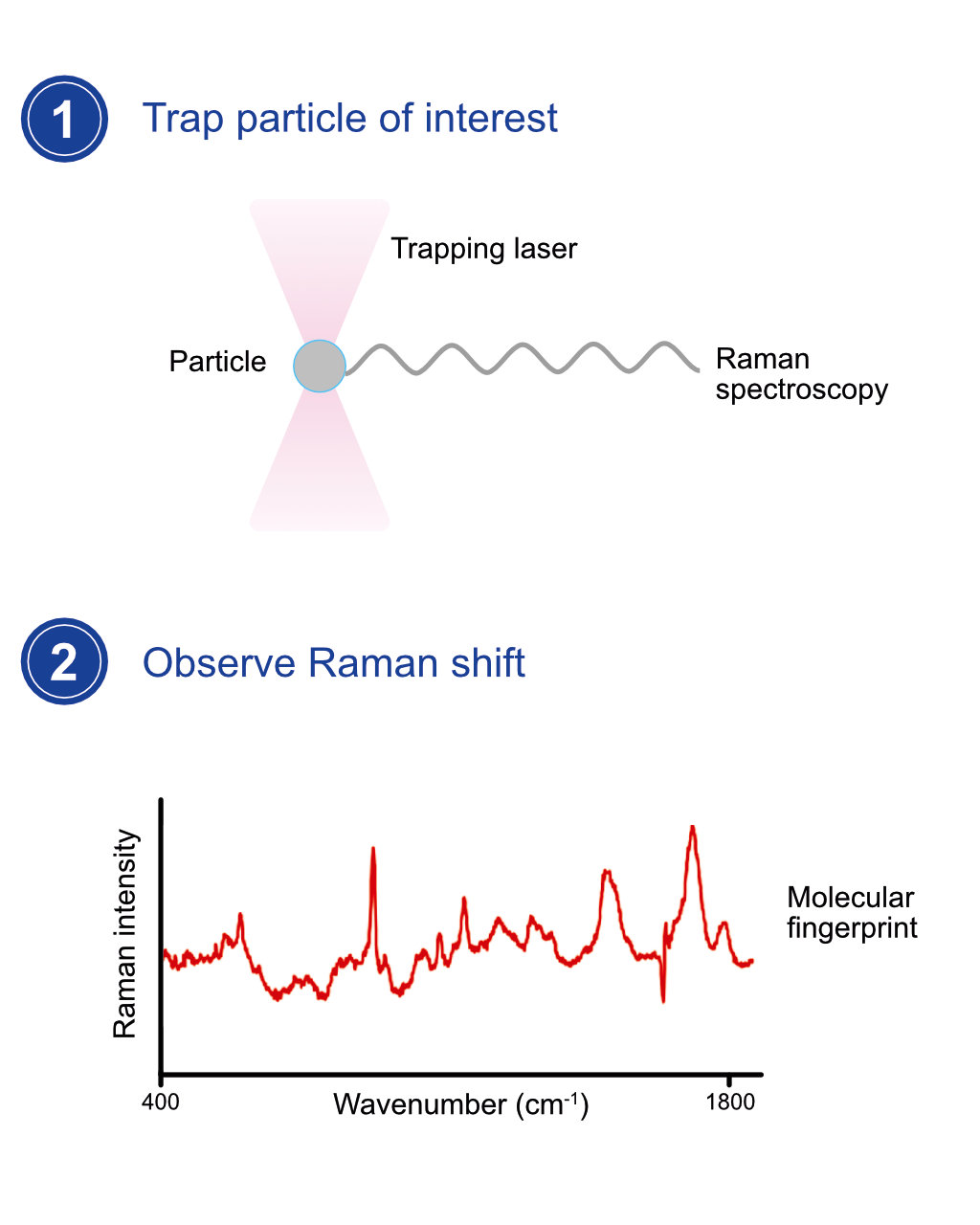Laser Tweezers Raman Microspectroscopy